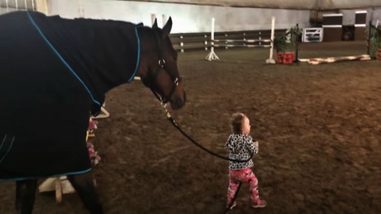 One-Year-Old Girl Leads Trusting Horse on Friendly Walk